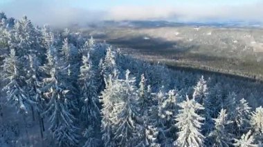 Buz dağları orman dronu kış karını görür