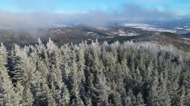 Buz dağları orman dronu kış karını görür