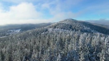 Buz dağları orman dronu kış karını görür