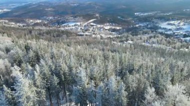 Buz dağları orman dronu kış karını görür