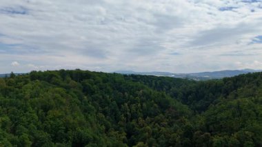 Orman tepesi drone 'u uçuyor