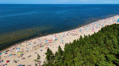 Baltık Denizi Stegna Polonya 'dan sahil manzarası