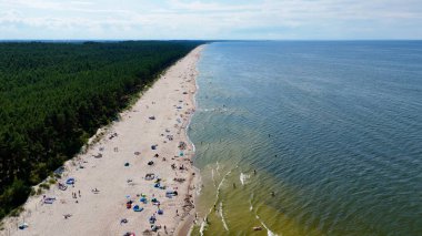 Baltık Denizi Stegna Polonya 'dan sahil manzarası