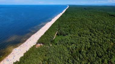 Baltık Denizi Stegna Polonya 'dan sahil manzarası