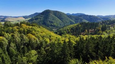 Aerial view of lush green forest with mountains creating a serene nature setting, Sitka, Alaska, USA.
