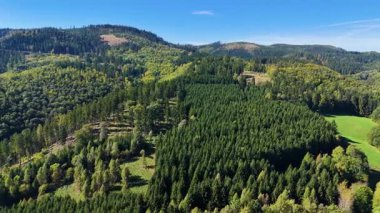 Aerial view of lush green forest with mountains creating a serene nature setting, Sitka, Alaska, USA.