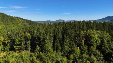 Aerial view of lush green forest with mountains creating a serene nature setting, Sitka, Alaska, USA.