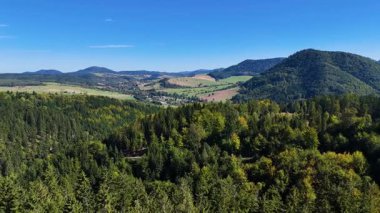 Aerial view of lush green forest with mountains creating a serene nature setting, Sitka, Alaska, USA.