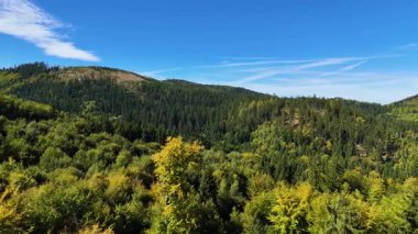 Aerial view of lush green forest with mountains creating a serene nature setting, Sitka, Alaska, USA.