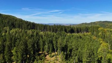 Aerial view of lush green forest with mountains creating a serene nature setting, Sitka, Alaska, USA.