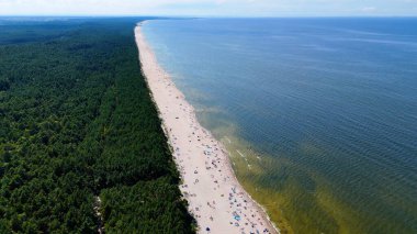 Baltık Denizi Stegna Polonya 'dan sahil manzarası