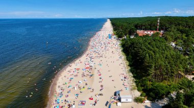 Baltık Denizi Stegna Polonya 'dan sahil manzarası