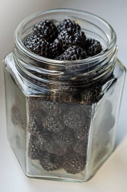 Ahududu Çalı 1-2 metre boyunda, yıllık bitki filizleri ve çiçek açan ağaç gövdeleri var.