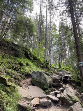 Ukrayna'da Karpat Dağları üzerinde yatay bir yaz gününde