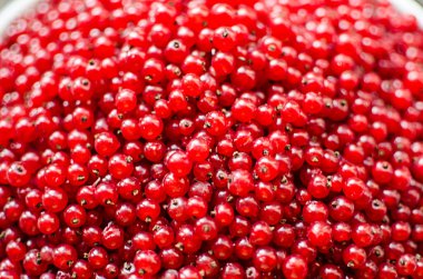 Yaz mevsiminde taze meyve suyu için taze ve sulu üzümler.