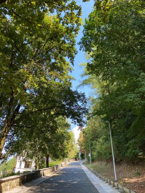 Yeşil çimenler, ağaçlar, yürüyüş yolları ve dışarıda yürüyen insanlarla dolu sessiz bir park..