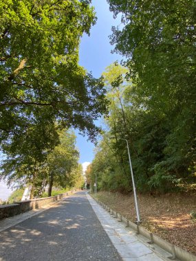 Yeşil çimenler, ağaçlar, yürüyüş yolları ve dışarıda yürüyen insanlarla dolu sessiz bir park..