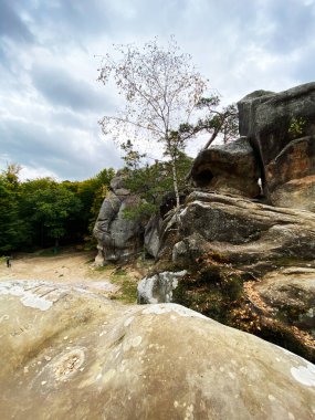 Siperdeki çakıl ve taş karışımı etkili su drenajı için doğal drenaj oluşturur..
