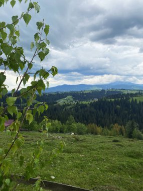 Dağlar yılın her zamanında harika bir yürüyüş tatilidir.