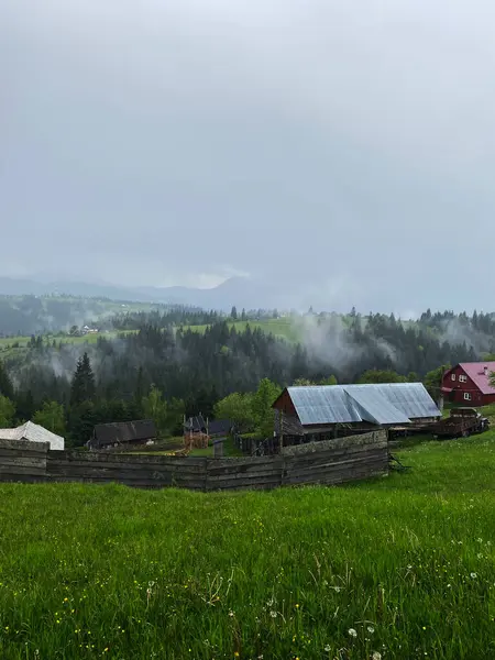 Dağlar yılın her zamanında harika bir yürüyüş tatilidir.
