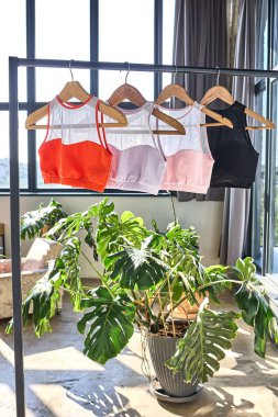 Four colorful sports bras with a trendy mesh panel design. Available in vibrant orange, soft pink, pastel peach, and classic black. Perfect for workouts or everyday wear. clipart