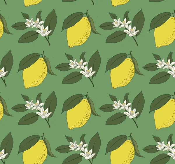 Turkuaz arka planda klasik limon ve limon desenleri. Kağıt ve tekstil üzerine basım ve dekorasyon için canlı, pürüzsüz yüzey tasarımı.