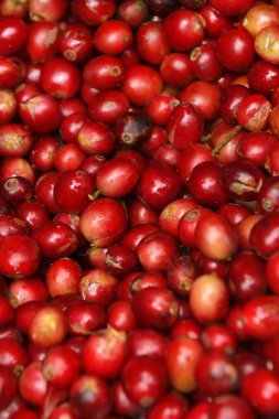 Arka plan için taze kahve çekirdeklerini kapatın.                                                                                