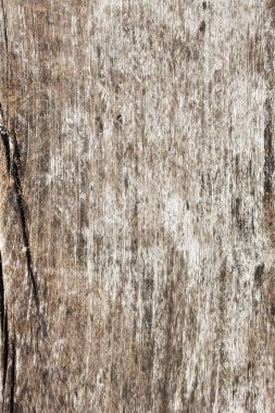  Arkaplan için ahşap dokuyu kapat     