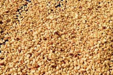  Arka plan için kahve çekirdeklerini kapatın.                                                               