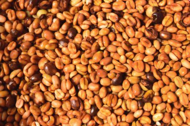 Kahve çekirdekleri, mayalanma ve yıkanma yöntemiyle.