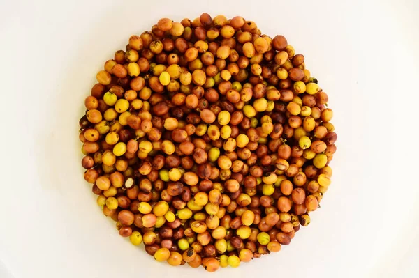 Fresh Coffee Bean Basket — Stock Photo, Image