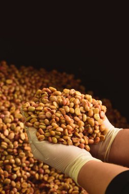 Kahve çekirdekleri, mayalanma ve yıkanma yöntemiyle.