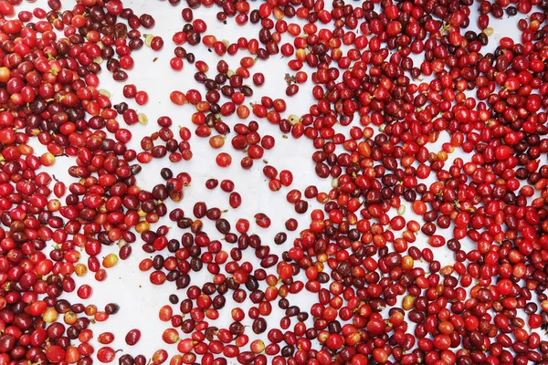 stock image close up of fresh coffee beans for background                                                                                