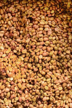 Kahve çekirdekleri, mayalanma ve yıkanma yöntemiyle.