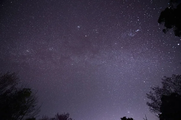 Éjszakai Égbolt Tejút Erdő Fák Thaiföld — Stock Fotó