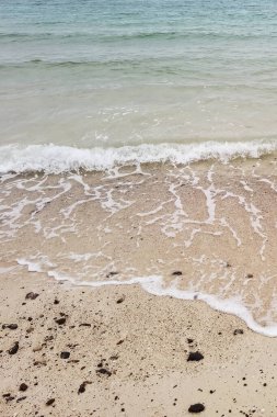 Deniz dalgası kumsalda
