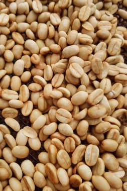 Arka plan için kahve çekirdeklerini kapatın.                                                               