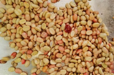 Kahve çekirdekleri, mayalanma ve yıkanma yöntemiyle.