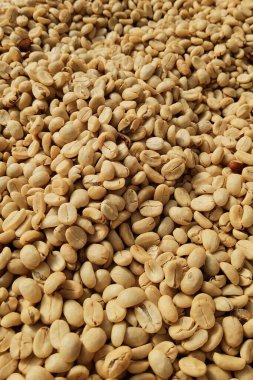 Arka plan için kahve çekirdeklerini kapatın.          