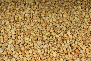 Arka plan için kahve çekirdeklerini kapatın.          