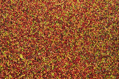 Arka plan için taze kahve çekirdeklerini kapatın.                 