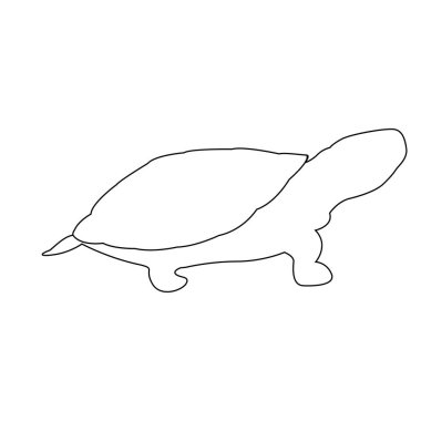 kaplumbağa simgesi vektör illüstrasyon logo şablonu