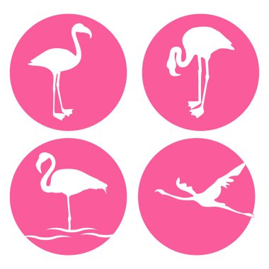 flamingo simgesi vektör illüstrasyon tasarımı
