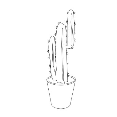 cactus houseplant icon vector illustration design
