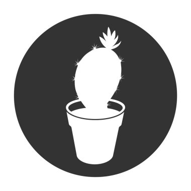 cactus houseplant icon vector illustration design