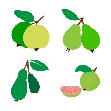 guava icon vektor illustration design
