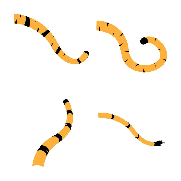 Tygrys Ogon Ikona Wektor Ilustracja Logo — Wektor stockowy