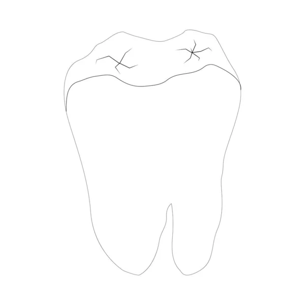Ícone Dente Vetorial Ícone Dentista Modelo Design Logotipo Ilustração —  Vetores de Stock
