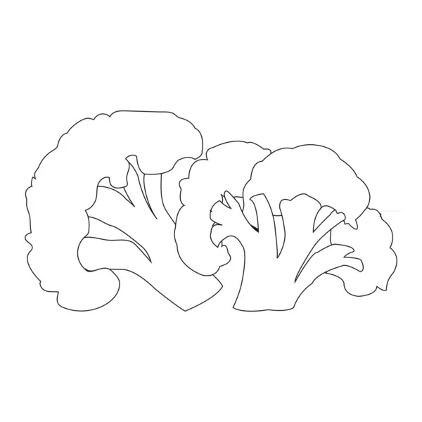 Brócoli Icono Vector Ilustración Diseño — Vector de stock