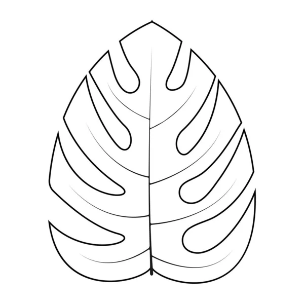 Modèle Conception Vectorielle Icône Feuille Monstera — Image vectorielle